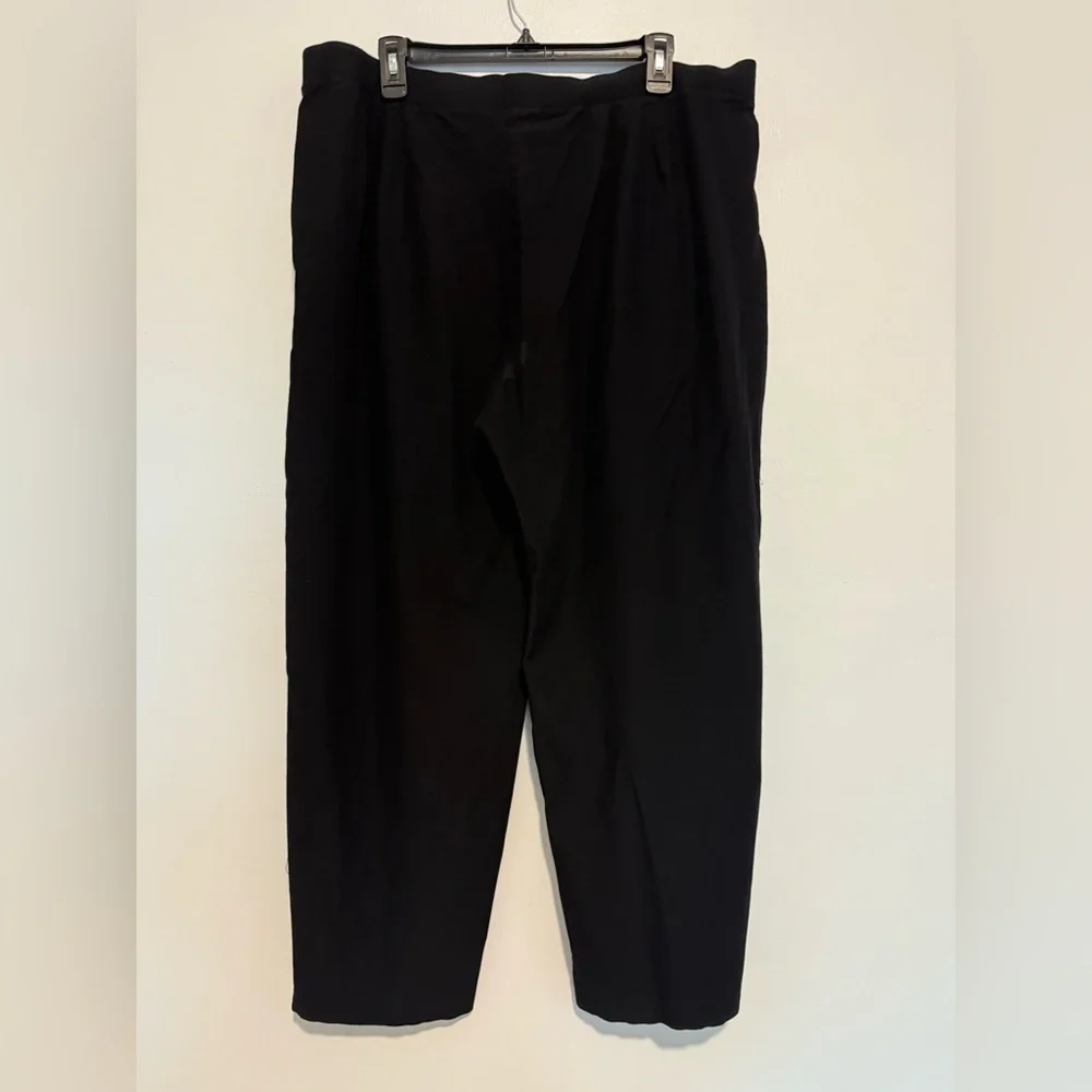 Eileen Fisher Plus Size Washable Stretch Crepe Slim Leg Ankle Pants Black 1X